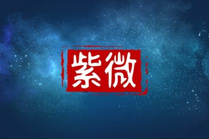 数字化紫微参考用法